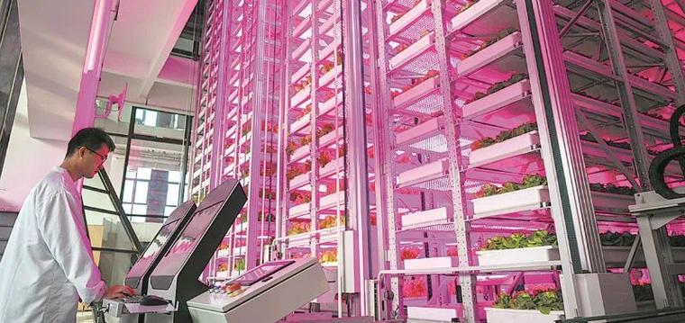 世界首座无人化垂直led植物工厂在成都投入使用